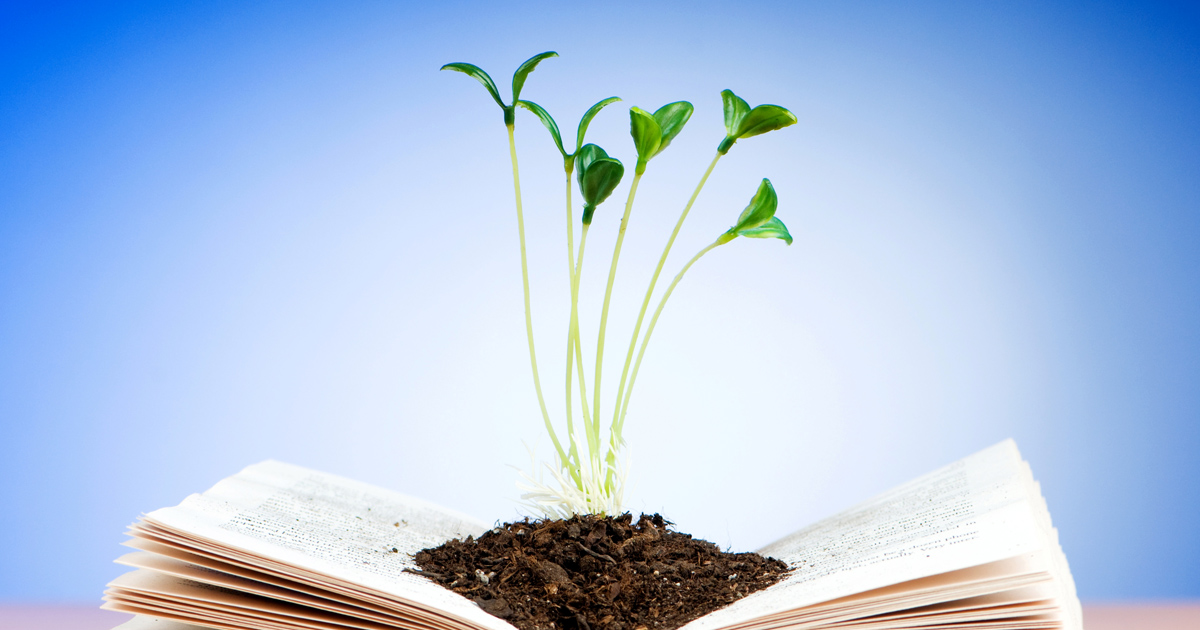 Teach the children: How to keep a good conscience