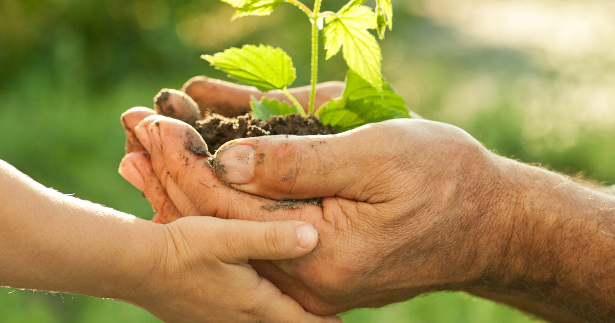 How the seed of local self-government is planted (Part II)