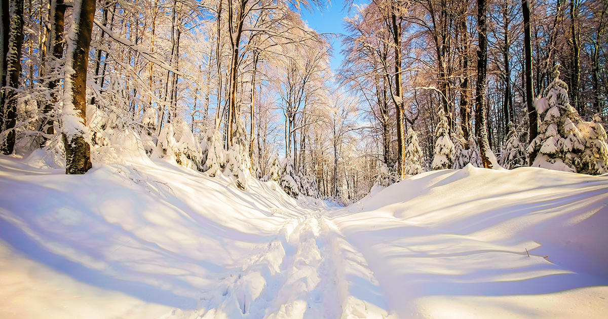 Thinking and Reasoning Biblically in 2020